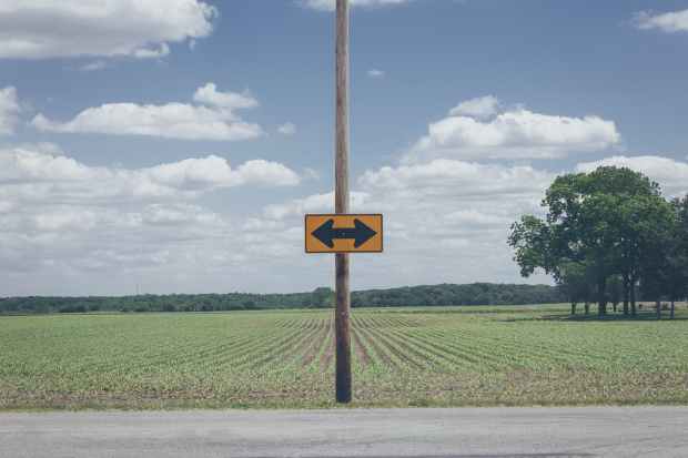 photo of yellow arrow road signage